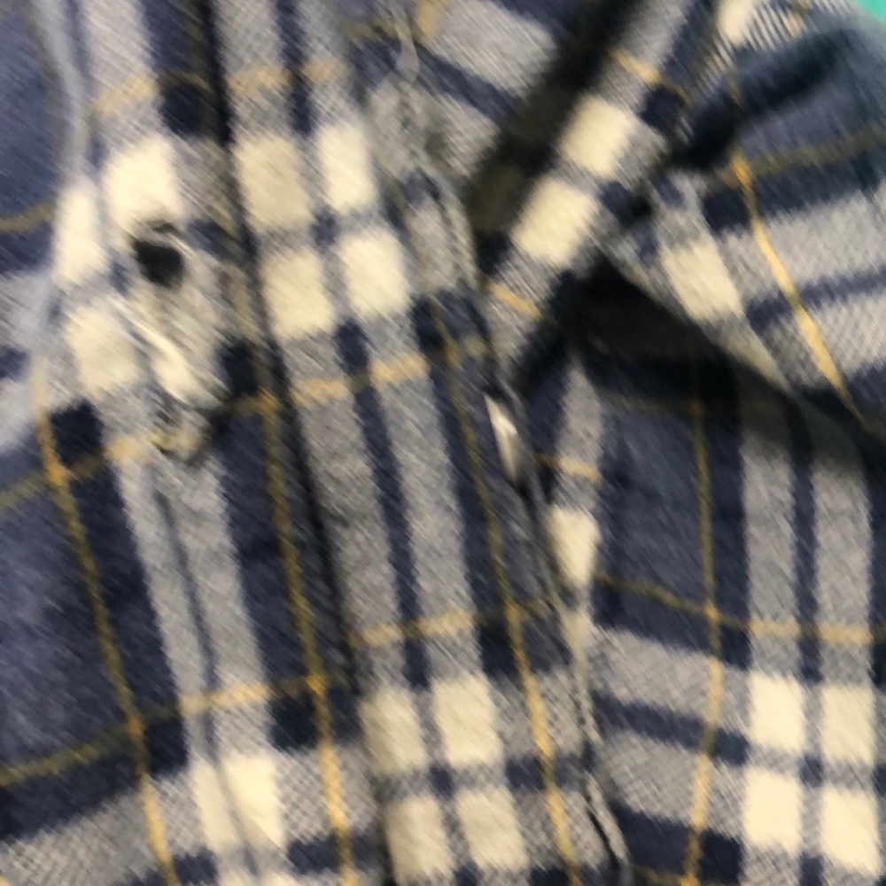 Flannel - Picture 4 of 4